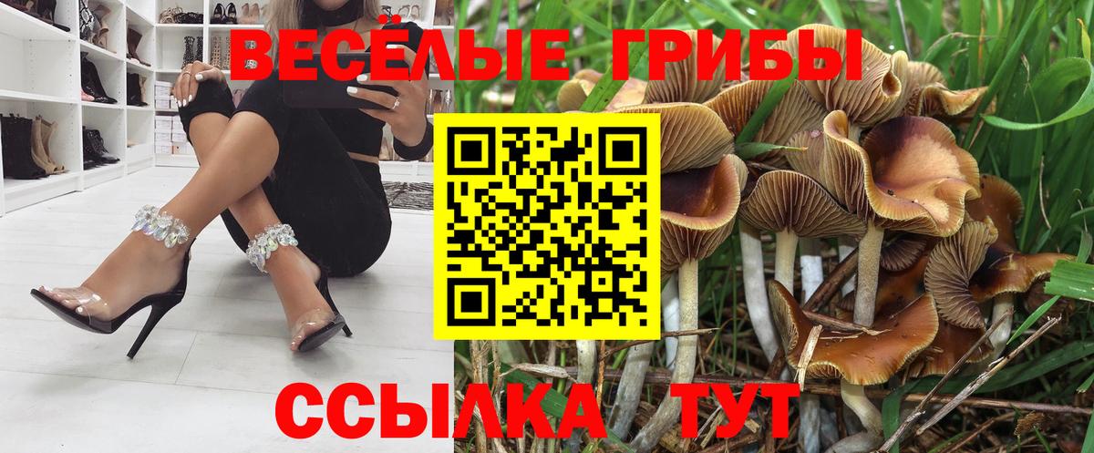 Галлюциногенные грибы Psilocybine cubensis  Вход с VPN  Нерюнгри 
