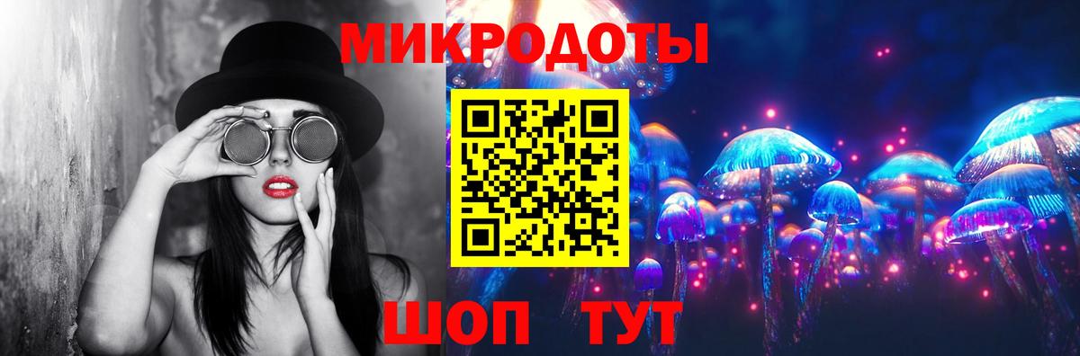 Псилоцибиновые грибы мицелий Нерюнгри
